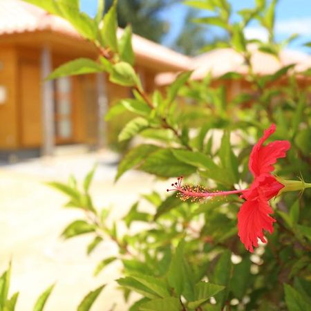 Tabinoteitaku Okinawa Nakijin Homann Concept Villa Exteriör bild
