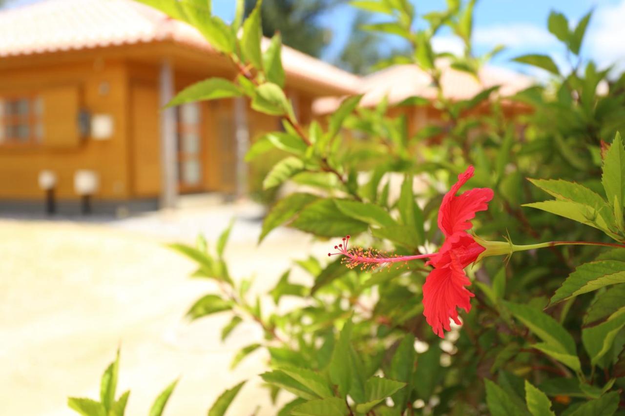 Tabinoteitaku Okinawa Nakijin Homann Concept Villa Exteriör bild